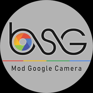 bsg gcam