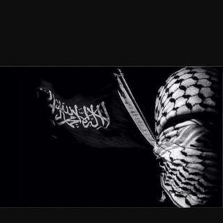 JIHADIOLOGY studies - jihadiology