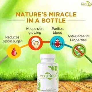 moringo organics business plan