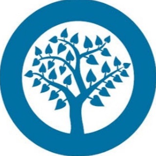 observer research foundation