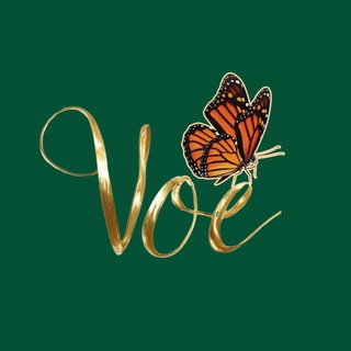 voe borboleta