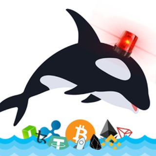 whale alert