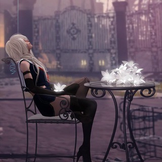 NieR: Automata™
