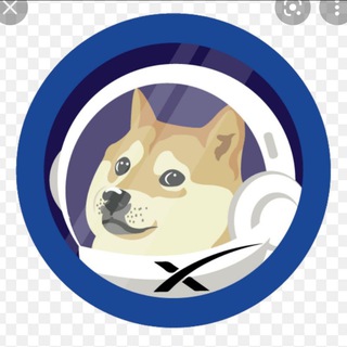 Doge X - dogex