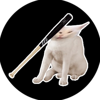 CatBonk Community (Official)