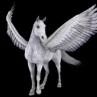 Pegasus Inu Official