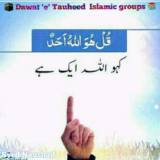 Dawat e Tauheed Islamic Telegram
