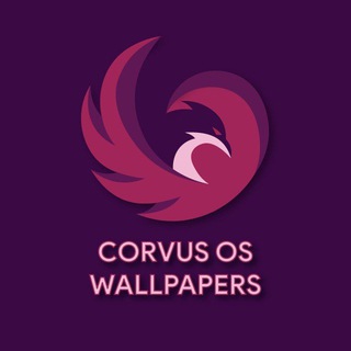 corvus wallpaper