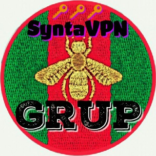 ?SyntaVPN Grup?
