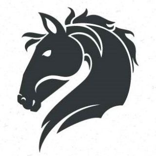 Financial Horse - Singapore Stock and REIT Investments ?