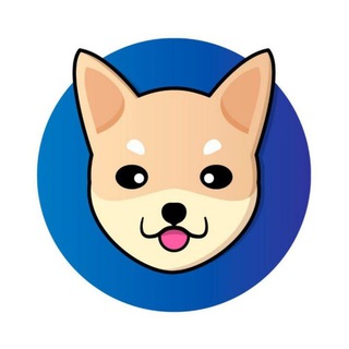 hokkaido inu coin