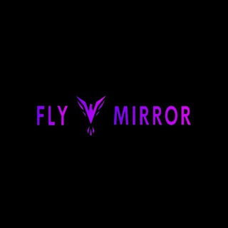Fly Mirror