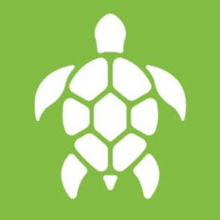 Turtle Road