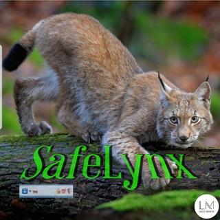 SafeLynxCryptoCollecting