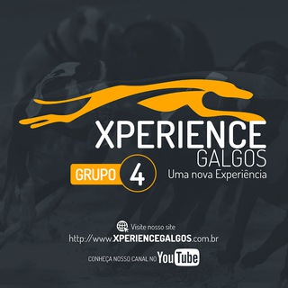 Xperience Galgos
