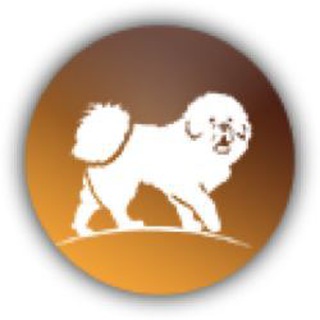 telegram channel do khyi