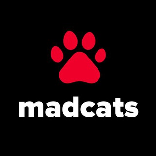 Котики — MadCats.ru Telegram channel