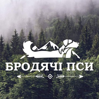 Бродячі пси Telegram channel
