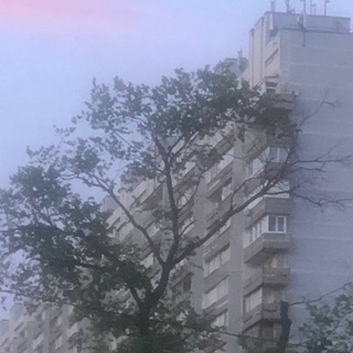 геней рёдан Telegram channel