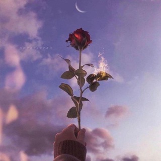 Amazing Wallpapers