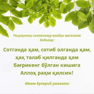 O'rikzor 6/12 podvol
