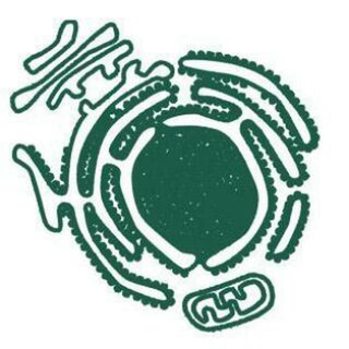 Mark DeCenter - Mikrognatizm