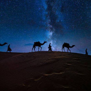 ?شا؏ری کے دیوانے? - Telegram group