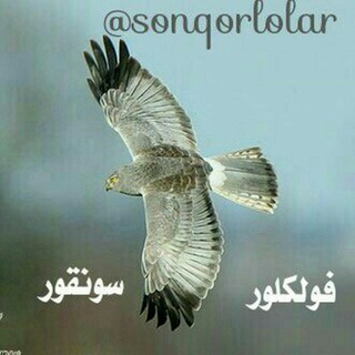 فولکلور سونقور - Telegram Channel