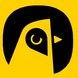 Работа Киев Bird