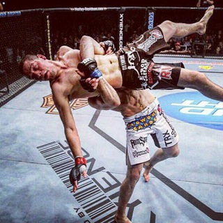 Freed Fight. MMA || BOX || KNOCKOUTS