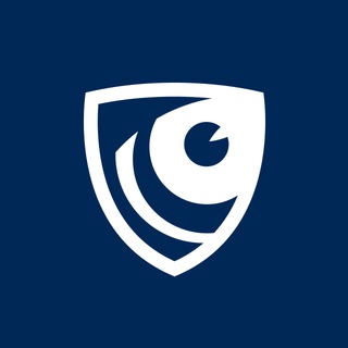 Falcongaze - Telegram Channel
