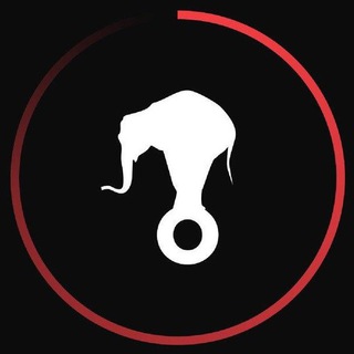 Animal Político - animalpolitico