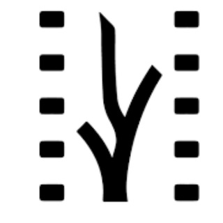 Festival Cine Habana - Festival de cine de la habana