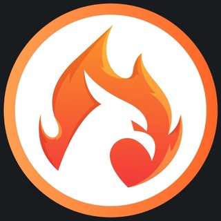Firebird Finance - firebird finance