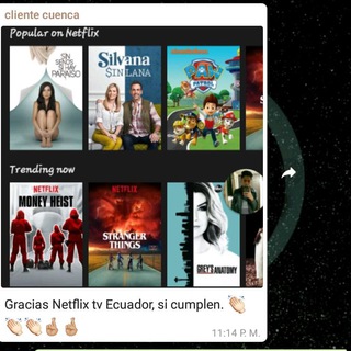 MR.ANDROIDCELL TEAM NETFLIX SPOTIFY TECNOLOGIA - netflix contact