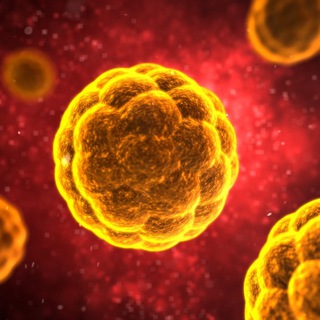 Global Intel LIVE - Coronavirus Info - coronalive