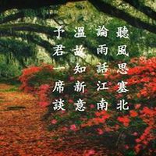 书斋夜话电报群 - 书斋夜话