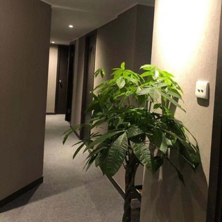 戀 spa - 高清 nuru