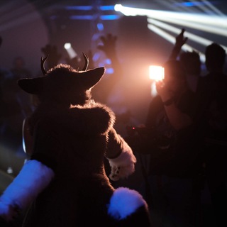 Furry Evenementen - furries nederland