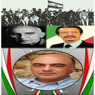 علاقه مندان به دکتر رامین کامران - کامران ملت