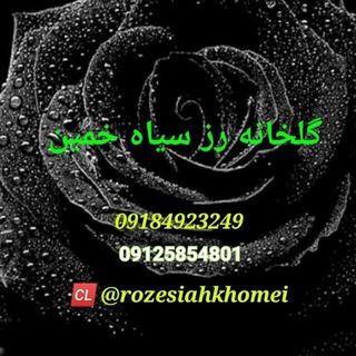 نمایشگاه دائمی گل و گیاه رزسیاه (خمین ) - گل رز سیاه