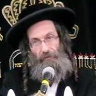 רבי אלימלך בידרמאן שליט״א - שיעורים - דער פרשה קוואל