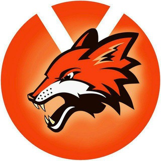 Y FOX ? FINANCE Discussion
