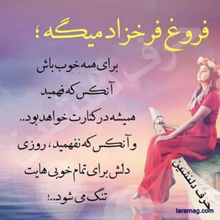 امیرعلی محمدپور Telegram