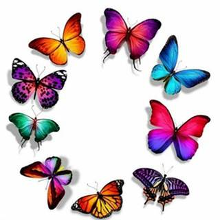 telegram channel darafil