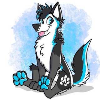 telegram channel ejhusky
